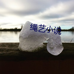 绳艺小说 （百业）