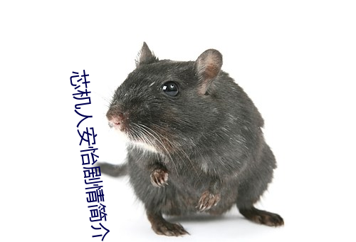 芯机人安(安)怡(怡)剧情(情)简介(介)