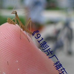 《91制片廠精東影業蜜桃傳媒》電影在線看