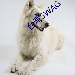 ̨SWAG