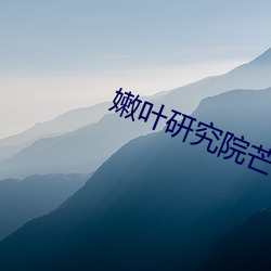 嫩叶研究院芒果1000