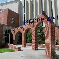 japonensis17—30