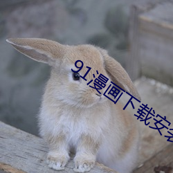 91漫畫下載安裝入口