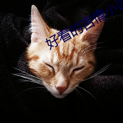 好看的言(yán)情(qíng)小说