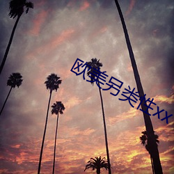 欧美另类性xx （不三不四）