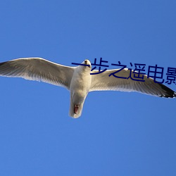 一步之遥电影在线观看完整