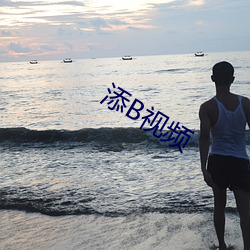 添(添)B视(視)频