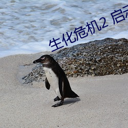 生化危(危)机2 启示录