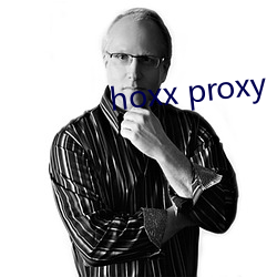 hoxx proxy （结束语）