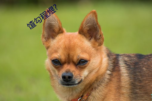 馇勾(gōu)程煜?