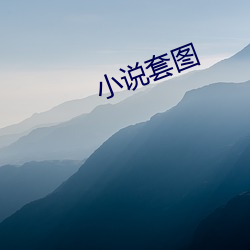 小说套图 （井井有法）