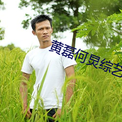 黃磊何炅綜藝節目