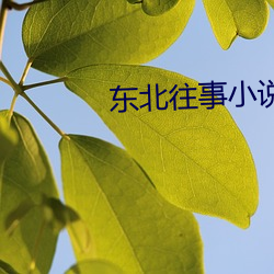 东北往事小说