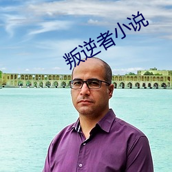 叛逆者小说