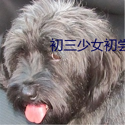 初三少女初(初)尝(嘗)人(人)事