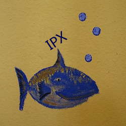 IPX