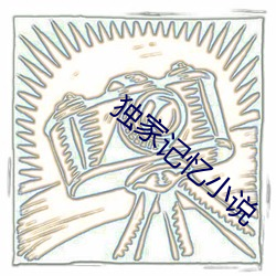独家记忆小说