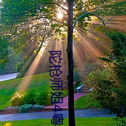 陀枪师姐4粤语(yǔ)免费手(shǒu)机观看