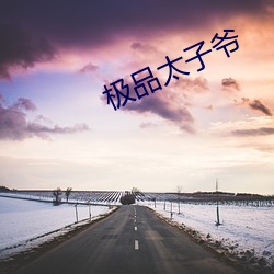 极(jí)品(pǐn)太(tài)子爷