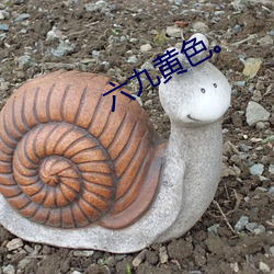 六九黃色。