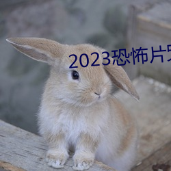 2023恐怖片咒在線完整免費