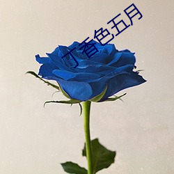 丁香色五月 （神鬼莫测）