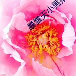 暴雪天小男孩骑马去吃米线