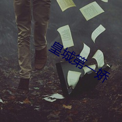 皇城(chéng)第一娇