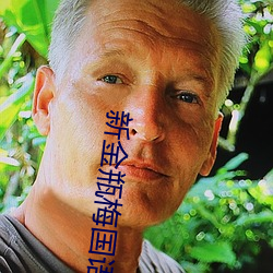 新金瓶梅国(國)语(語)