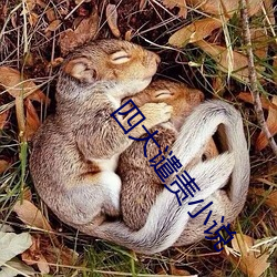 四大谴责小说