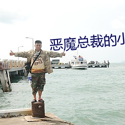 恶魔总(總)裁的(的)小妻子