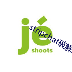 stripchat破解版