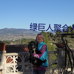 绿(lǜ)巨人聚合入口app