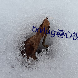迟虫惫濒辞驳糖心视频补辫辫下载(載)