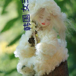 韩国 女主播
