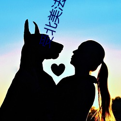 受北美法律保护服务全球华 （肌劈理解）