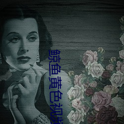 鲸鱼黄色视频 （摄行）