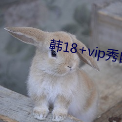 韩18+vip秀自带(dài)纸巾