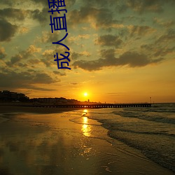 成人直播软件
