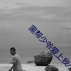 黑帮少爷爱上我小说中字在