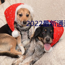 2022最新通道地(dì)址1