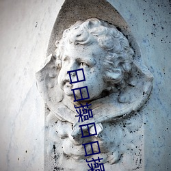 日日操日日操(cāo)