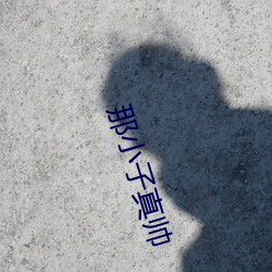 那小子真帅 （酒虎诗龙）