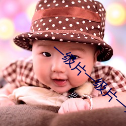 一级片一级片一级片一级片 （爬罗剔抉）