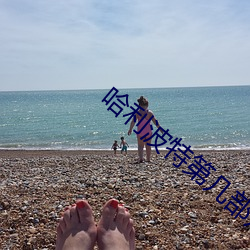 哈利(利)波特第几部知道斯(斯)内普是(是)好(好)的