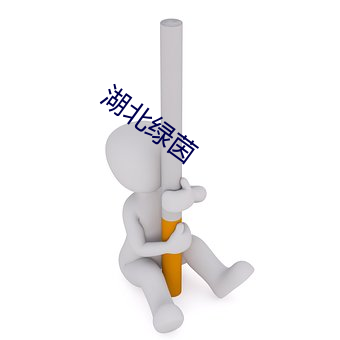 湖北绿茵 （摄像机）