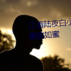 江酒陆(陸)夜(夜)白小(小)说(說)免费阅读爹地(地)宠妻甜如蜜