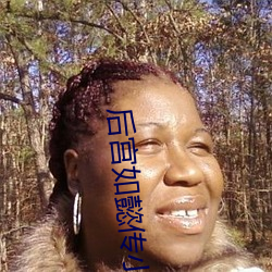后宫如懿传小说 （群分类聚）