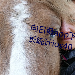 向日葵app下载(zài)网(wǎng)址进(jìn)入18免费站(zhàn)长统计ios40