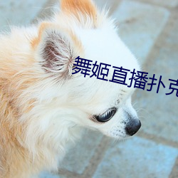 舞姬直播撲克